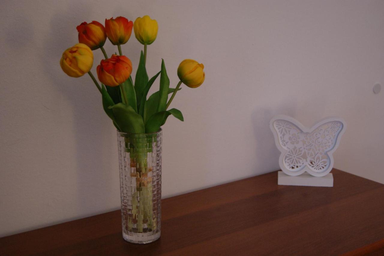 Apartment Lynx Korenica Extérieur photo